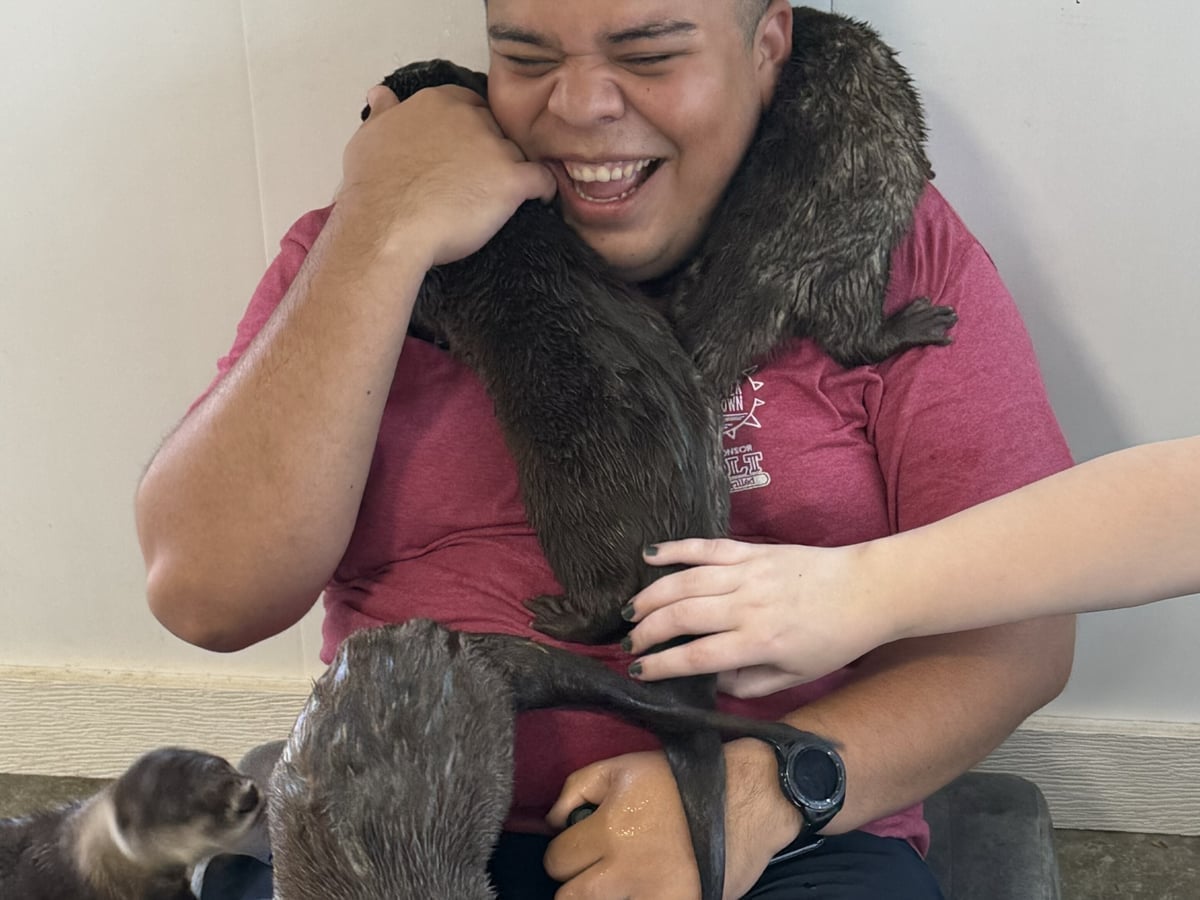 Playful otter at Majestic Meadows Alpacas Ohio