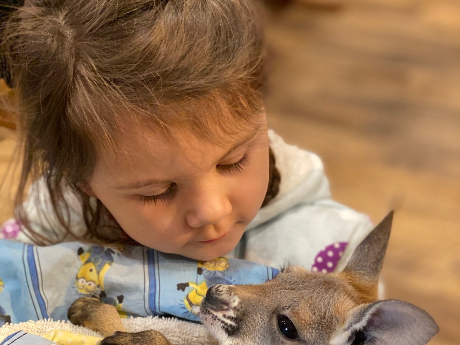 Visitors interacting with animals at Majestic Meadows Alpacas petting zoo
